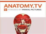 پایگاه Primal Picture