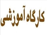 برگزاری کارگاه Iranian Shared Decision Making