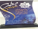 کسب رتبه 